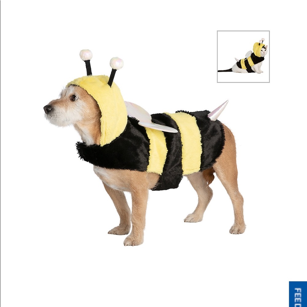 Dog (or cat) costume - Bumble Bee 🐝 - size XS